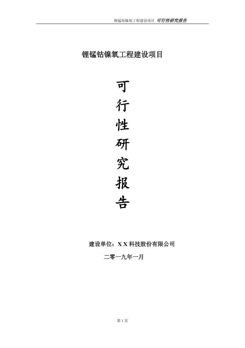 锂锰钴镍氧项目可行性研究报告（代申请报告）(1)_第1页