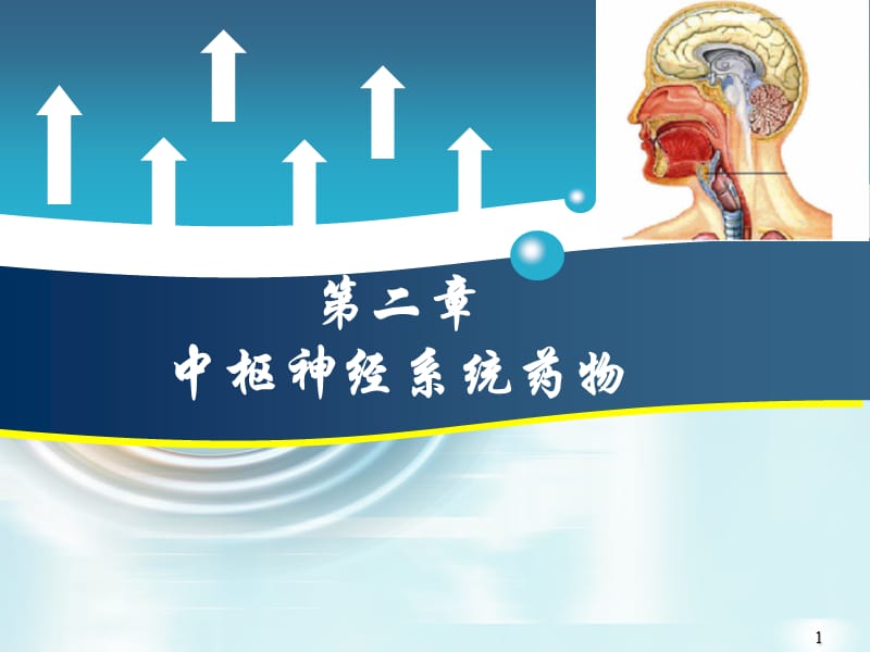 镇静催眠药ppt课件_第1页