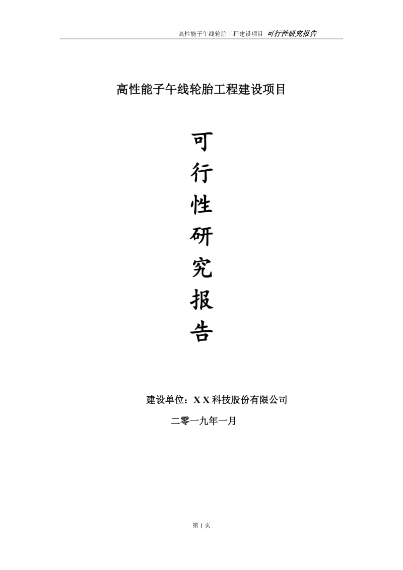 高性能子午线轮胎项目可行性研究报告（代申请报告）_第1页