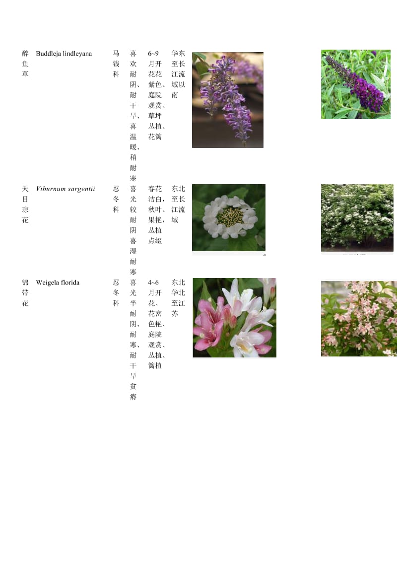 常见植物图片和简介.doc_第2页