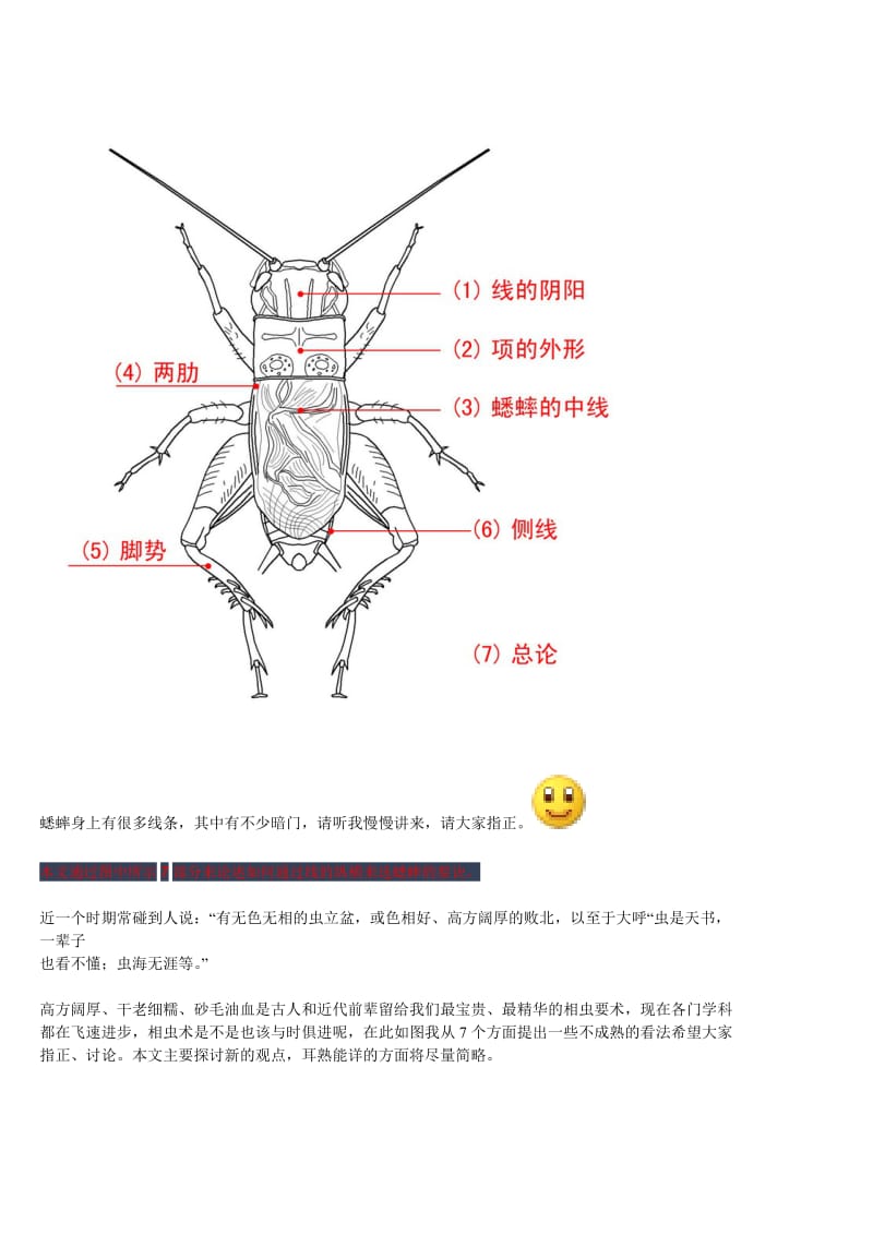 蟋蟀优劣解析.doc_第1页