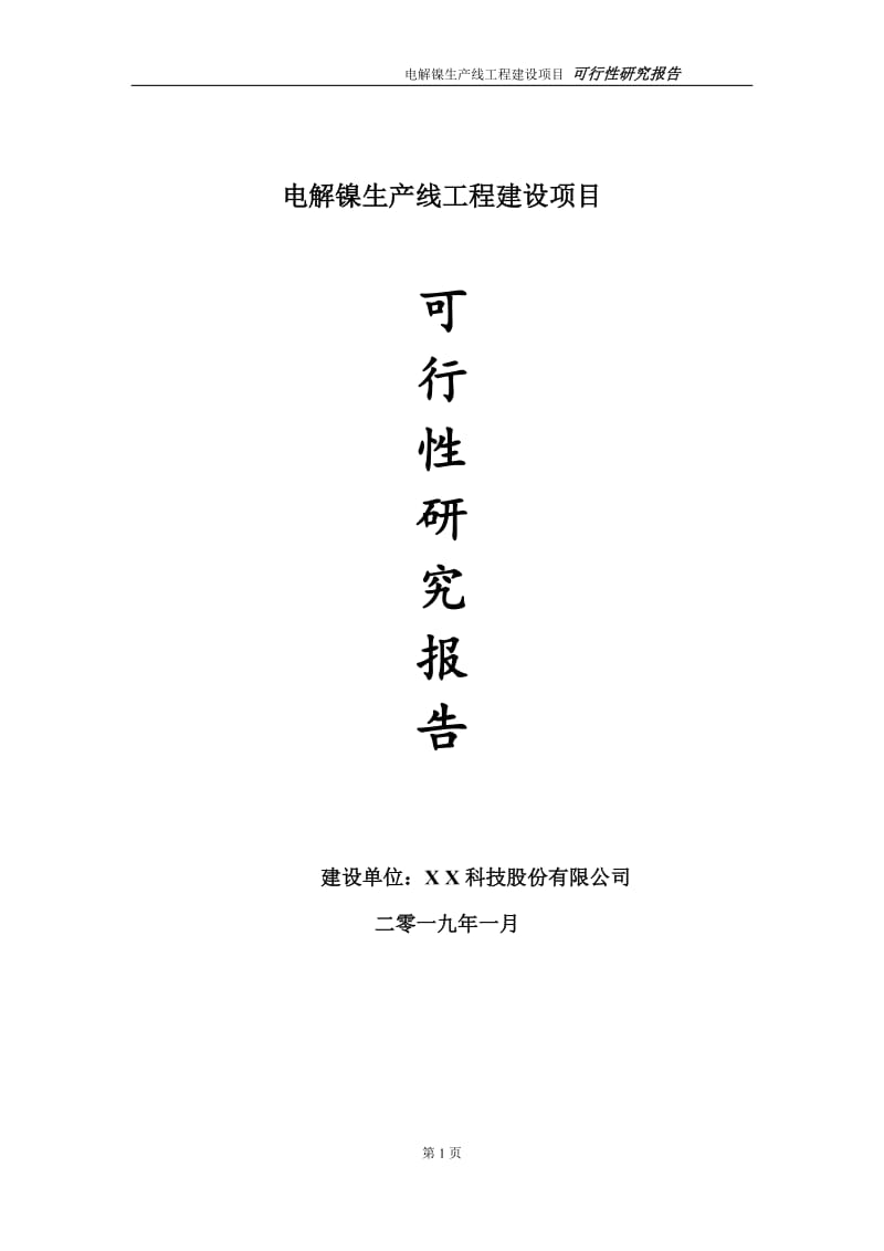 电解镍生产线项目可行性研究报告（代申请报告）_第1页