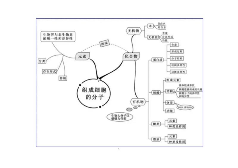 生物思维导图.doc_第1页