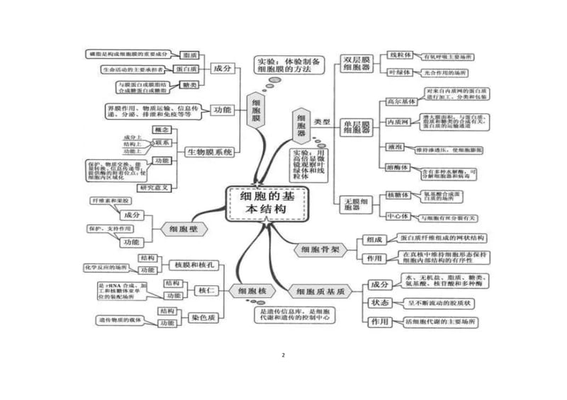 生物思维导图.doc_第2页