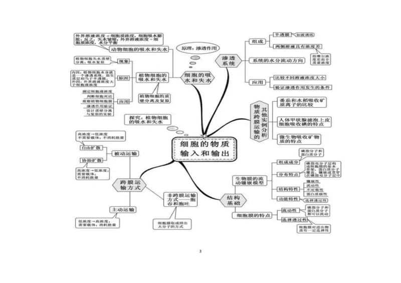 生物思维导图.doc_第3页