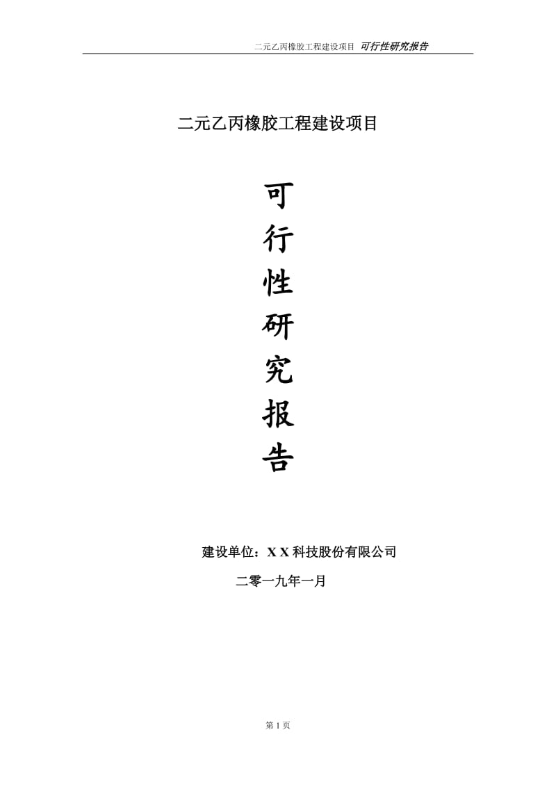 二元乙丙橡胶项目可行性研究报告（代申请报告）(1)_第1页