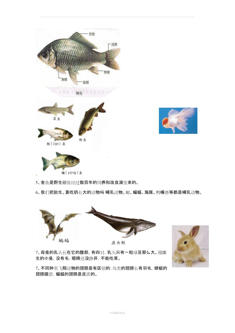 湘教版四年级科学上册复习资料.doc_第3页