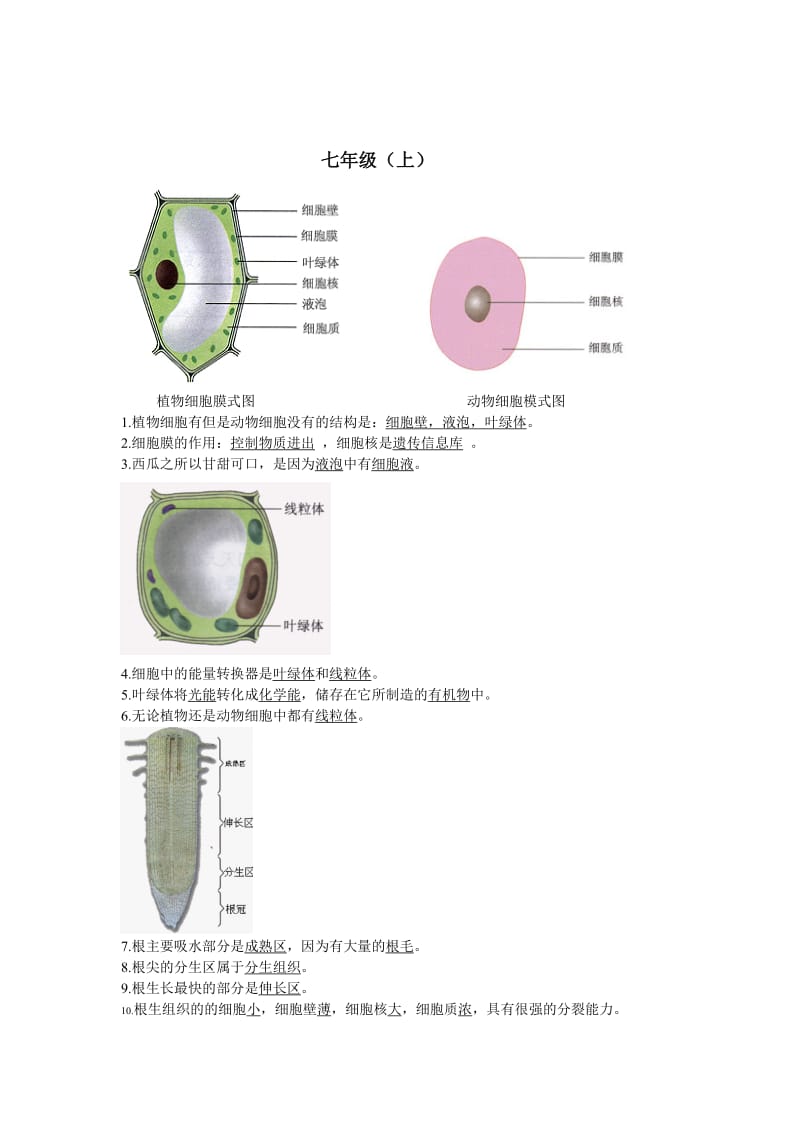 初中生物生物结构图专题复习.doc_第2页