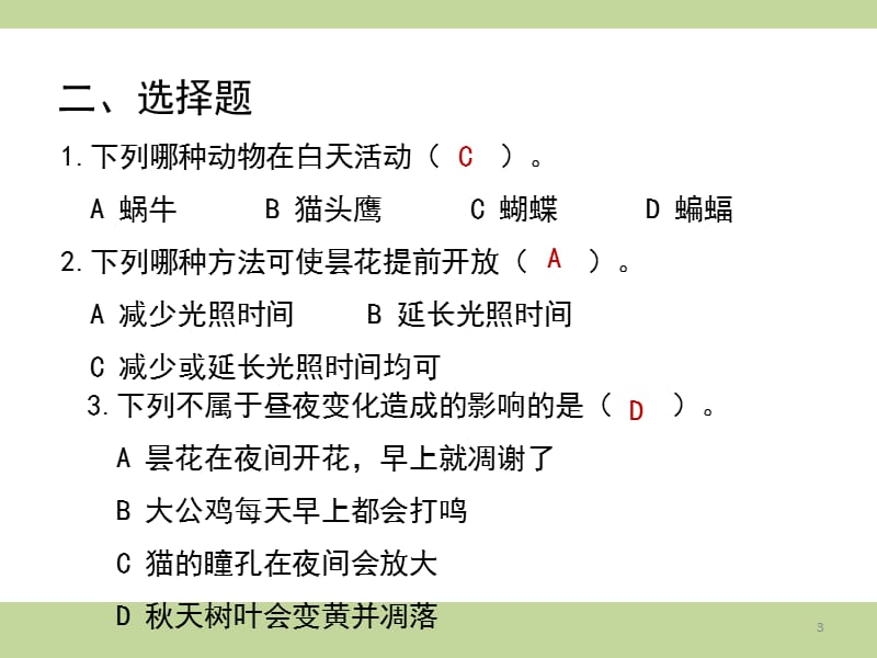 一天中的动植物同步练习ppt课件_第3页