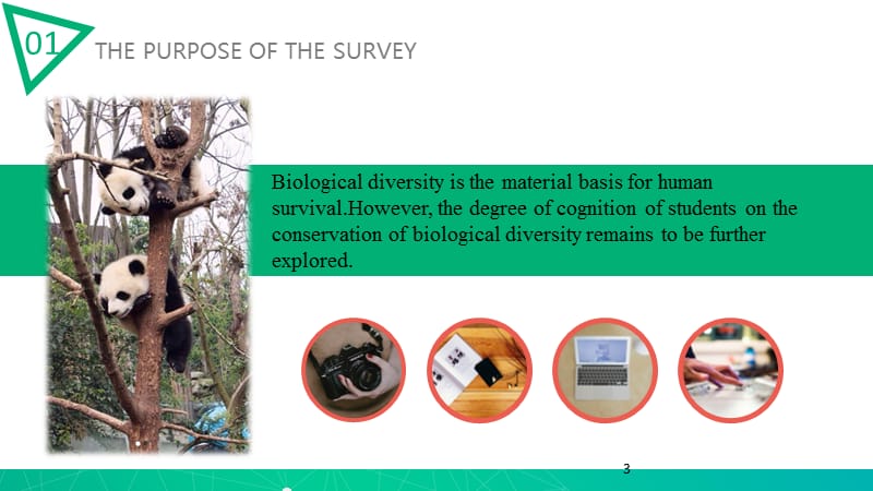保护生物多样性调查ppt课件_第3页