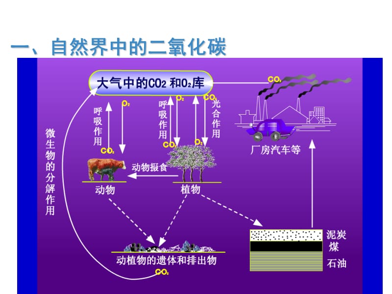 九年级化学全册二氧化碳的性质和用途沪教版ppt课件_第2页