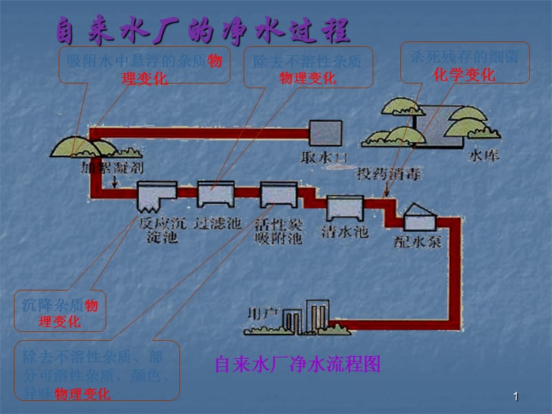 自来水厂的净水过程ppt课件_第1页