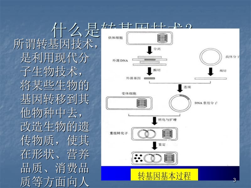 转基因的利与弊ppt课件_第3页