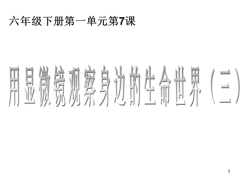 六年级下册科学1.7用显微镜观察身边的生命世界三教科版ppt课件_第1页