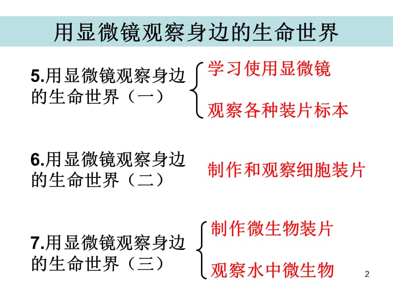 六年级下册科学1.7用显微镜观察身边的生命世界三教科版ppt课件_第2页