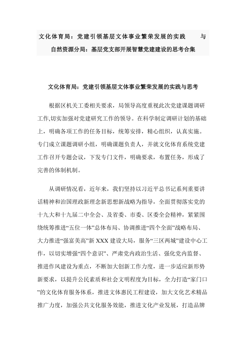 文化体育局：党建引领基层文体事业繁荣发展的实践与自然资源分局：基层党支部开展智慧党建建设的思考合集_第1页