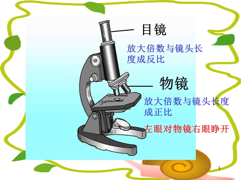 探索生命的器具ppt课件_第3页