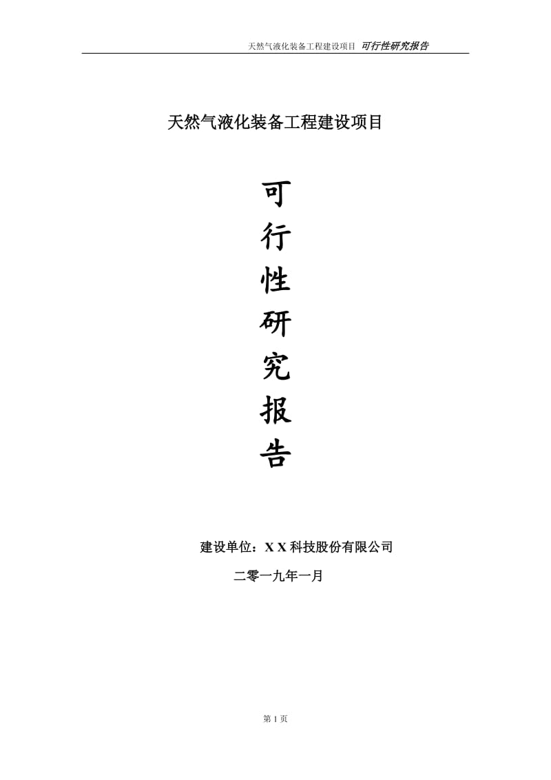 天然气液化装备项目可行性研究报告（代申请报告）_第1页