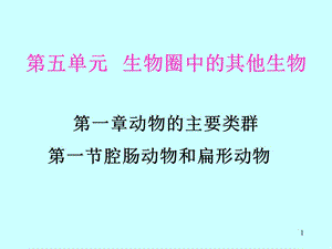 人教生物八上第1節(jié)腔腸動物和扁形動物ppt課件