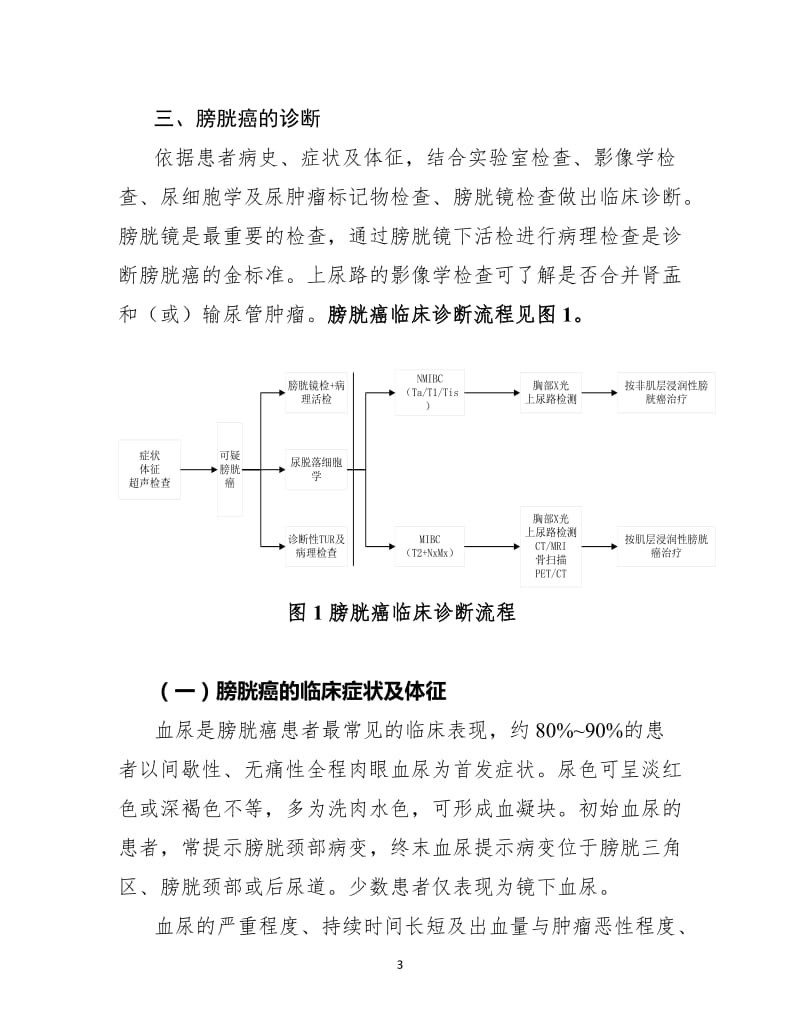 膀胱癌诊疗规范（2018年版）_第3页