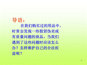 四年級(jí)上冊(cè)品德與社會(huì)第四單元維護(hù)我們的合法權(quán)益未來版ppt課件