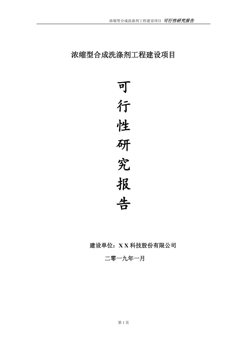 浓缩型合成洗涤剂项目可行性研究报告（代申请报告）_第1页