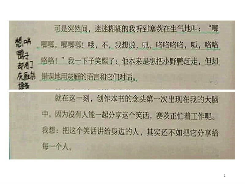 所罗门王的指环ppt课件_第1页