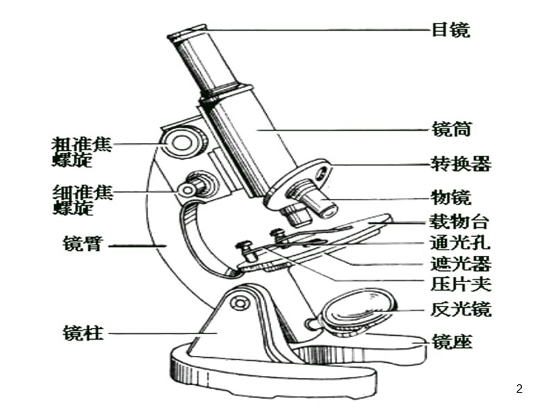 如何正确使用显微镜分析ppt课件_第2页