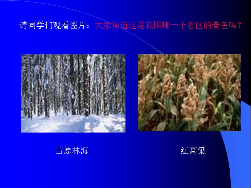 义务教育课程标准试验教科书.ppt_第3页