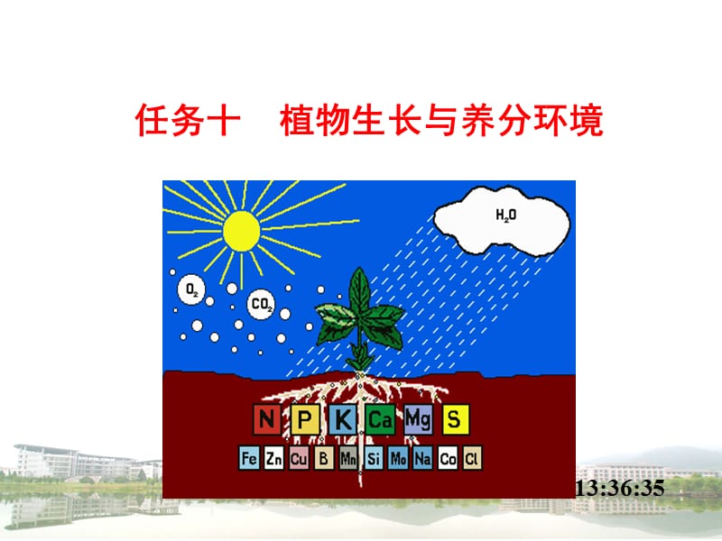 植物生长与养分环境 (2)ppt课件_第1页