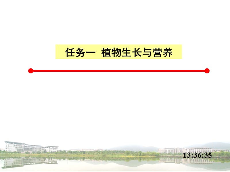 植物生长与养分环境 (2)ppt课件_第3页