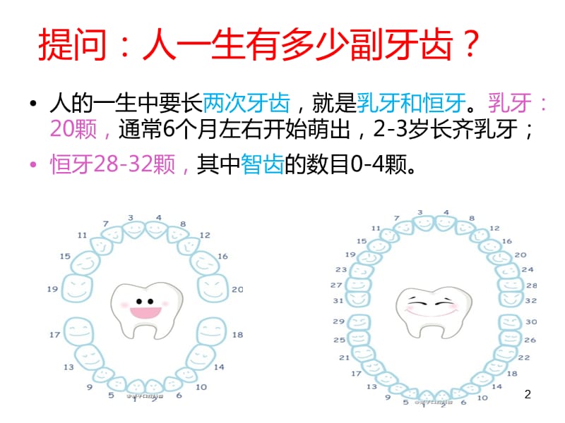 刷牙比赛ppt课件_第2页