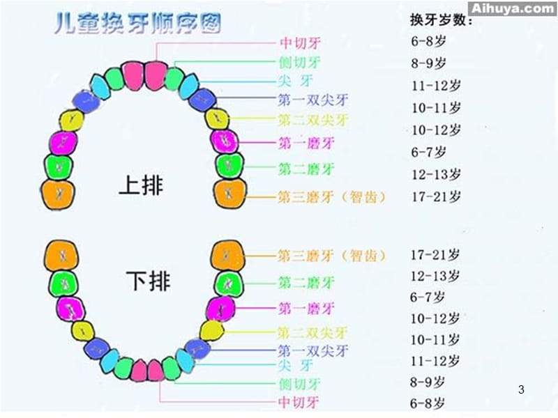 刷牙比赛ppt课件_第3页