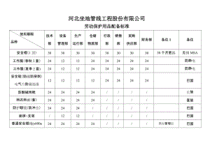 勞保用品配備標(biāo)準(zhǔn).doc