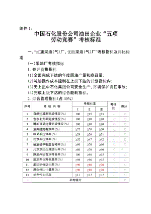 中國石化五項勞動競賽評比標準.doc