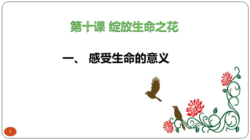 人教版道德与法治七年级上册10.1感受生命的意义ppt课件_第3页