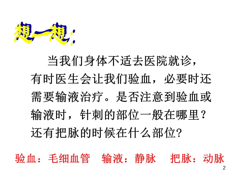 人教版七年级生物下册第二讲血流管道ppt课件_第2页