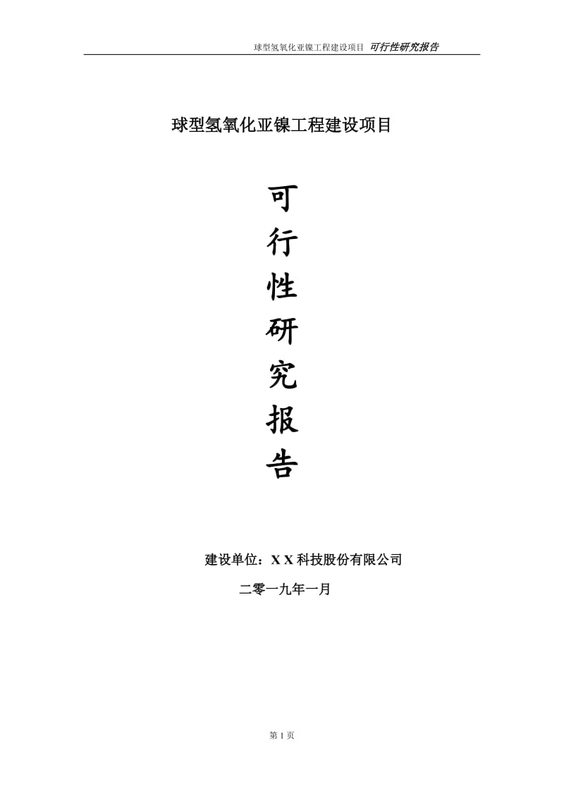 球型氢氧化亚镍项目可行性研究报告（代申请报告）_第1页