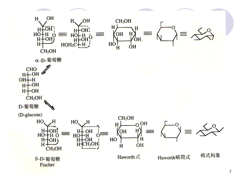 天然药物化学第二章糖及苷类ppt课件_第3页