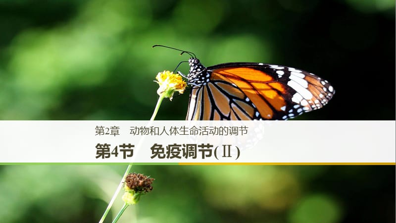 人教版生物必修三免疫调节Ⅱppt课件_第1页