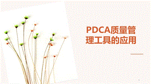 醫(yī)院PDCA管理工具應(yīng)用ppt課件