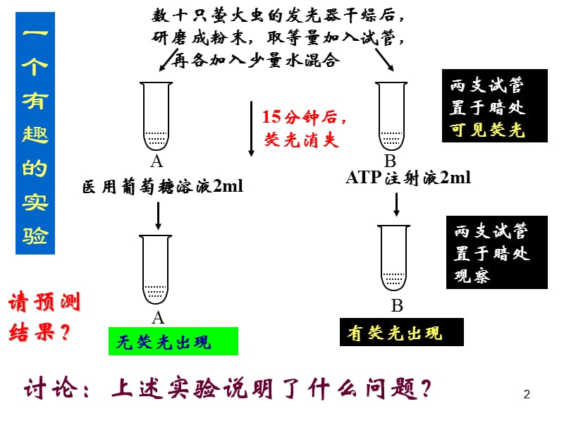 优质课第二节细胞的能量通货ATPppt课件_第2页