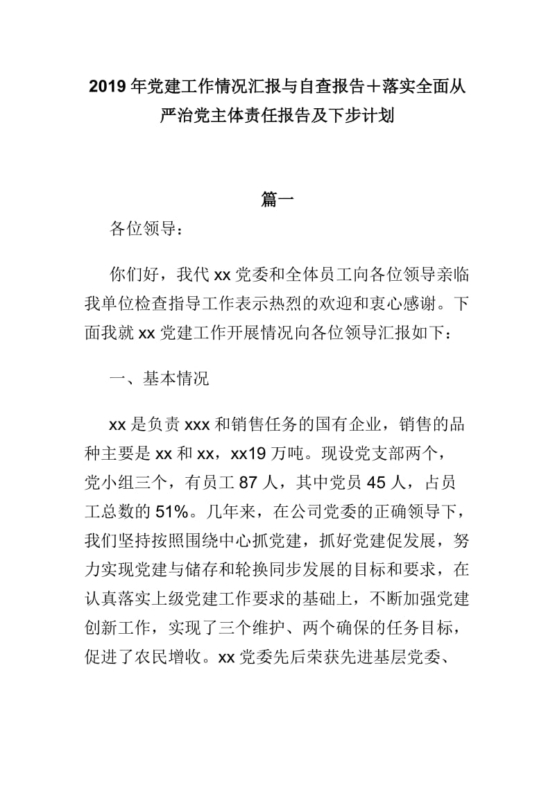 2019年党建工作情况汇报与自查报告＋落实全面从严治党主体责任报告及下步计划_第1页