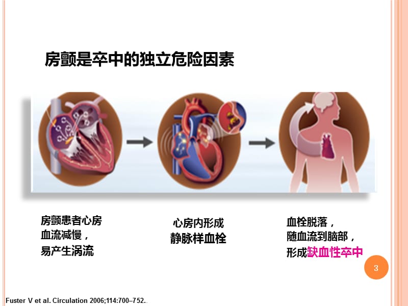 非瓣膜性房颤患者的风险评估ppt课件_第3页