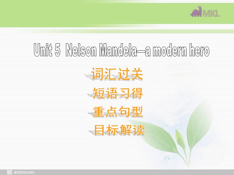 高一英语优质课件：Unit5 Nelson Mandela-a modern hero- 单元复习（新人教版必修1）_第1页