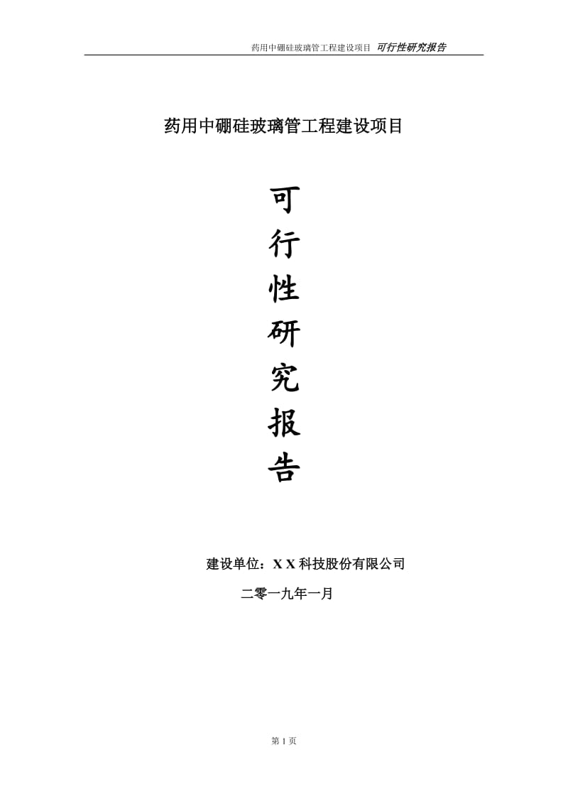 药用中硼硅玻璃管项目可行性研究报告（代申请报告）_第1页