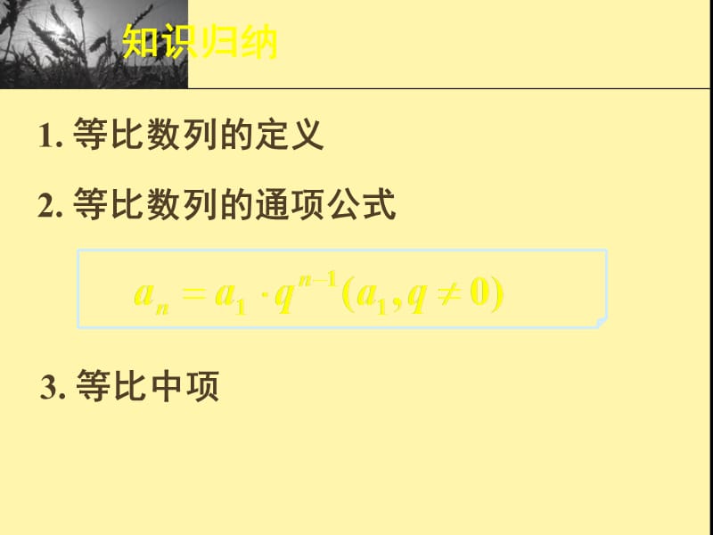 新课标高中数学人教A版必修五全册课件等比数列复习_第2页