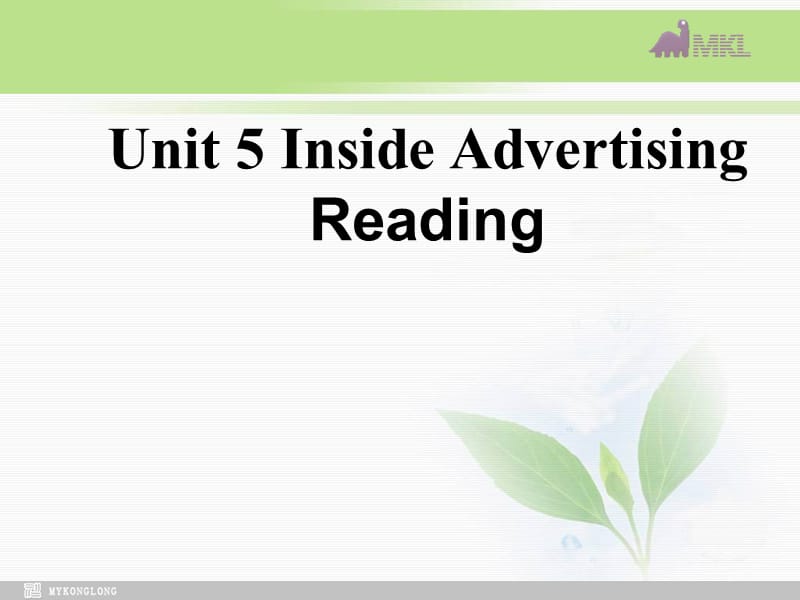 英语：Unit 5《Enjoying novels》Reading课件（2） 新人教版选修10_第1页