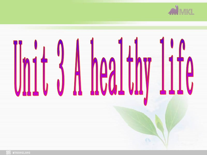 选修六 3.5《Unit3 A Healthy Life》_第2页