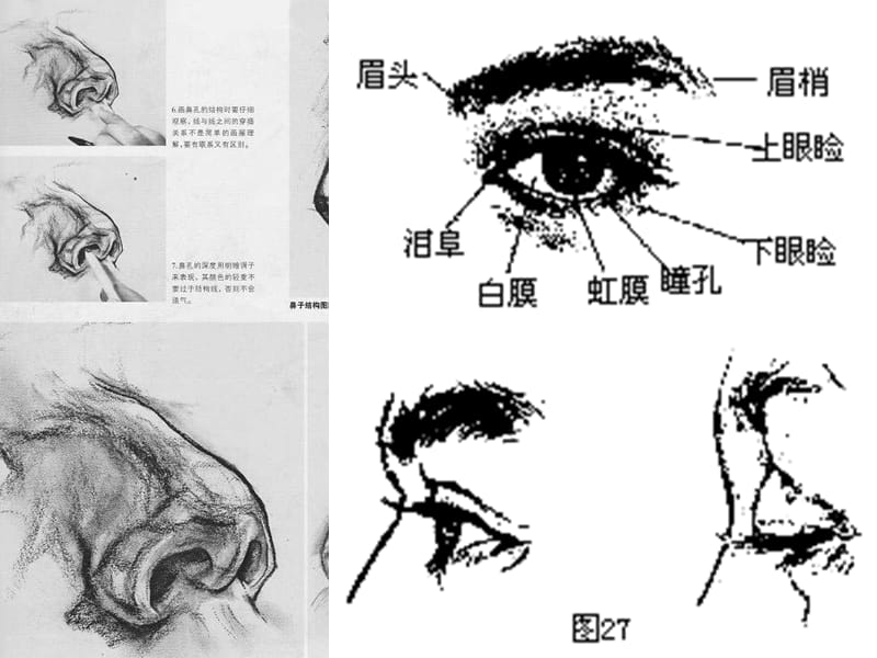 苏少版美术七下第二课《关注你、我、他》ppt课件4_第2页